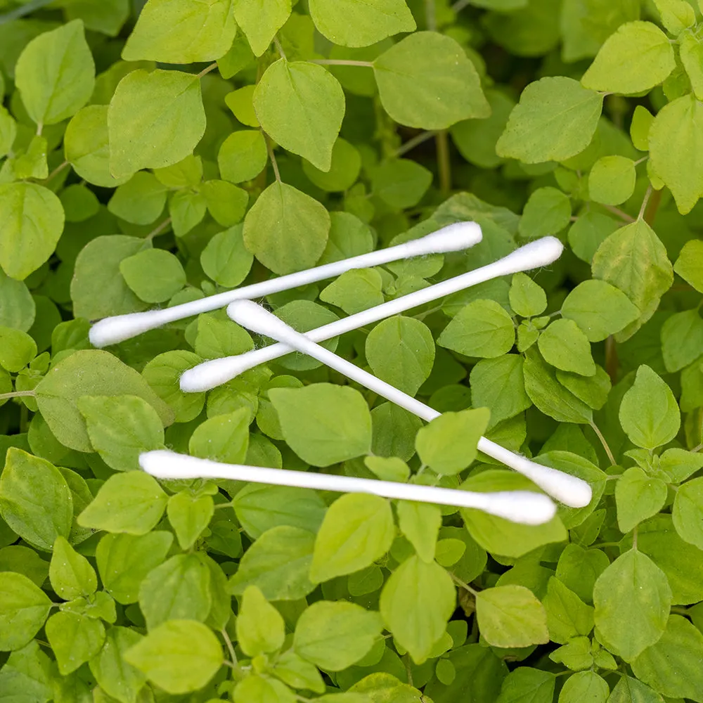 Organic Cotton Swabs