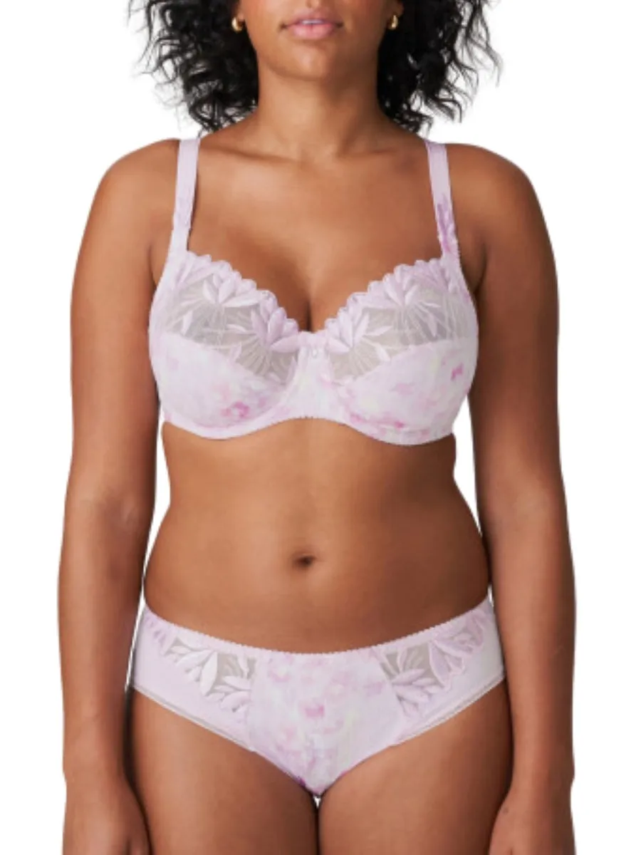 Orlando Rio Brief