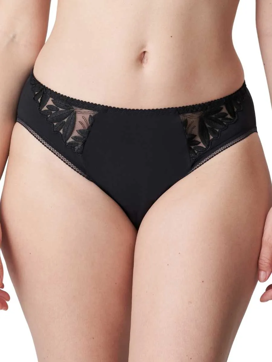 Orlando Rio Brief