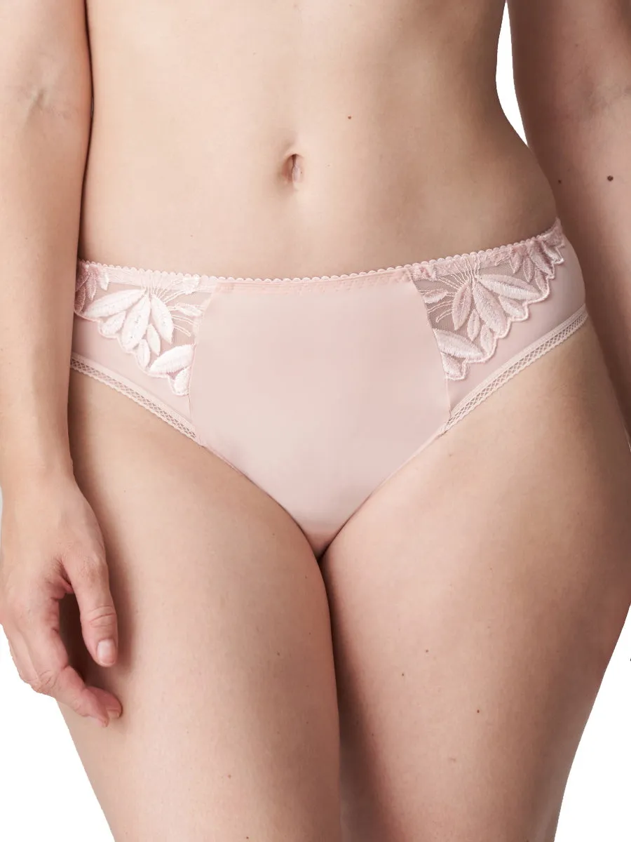 Orlando Rio Brief