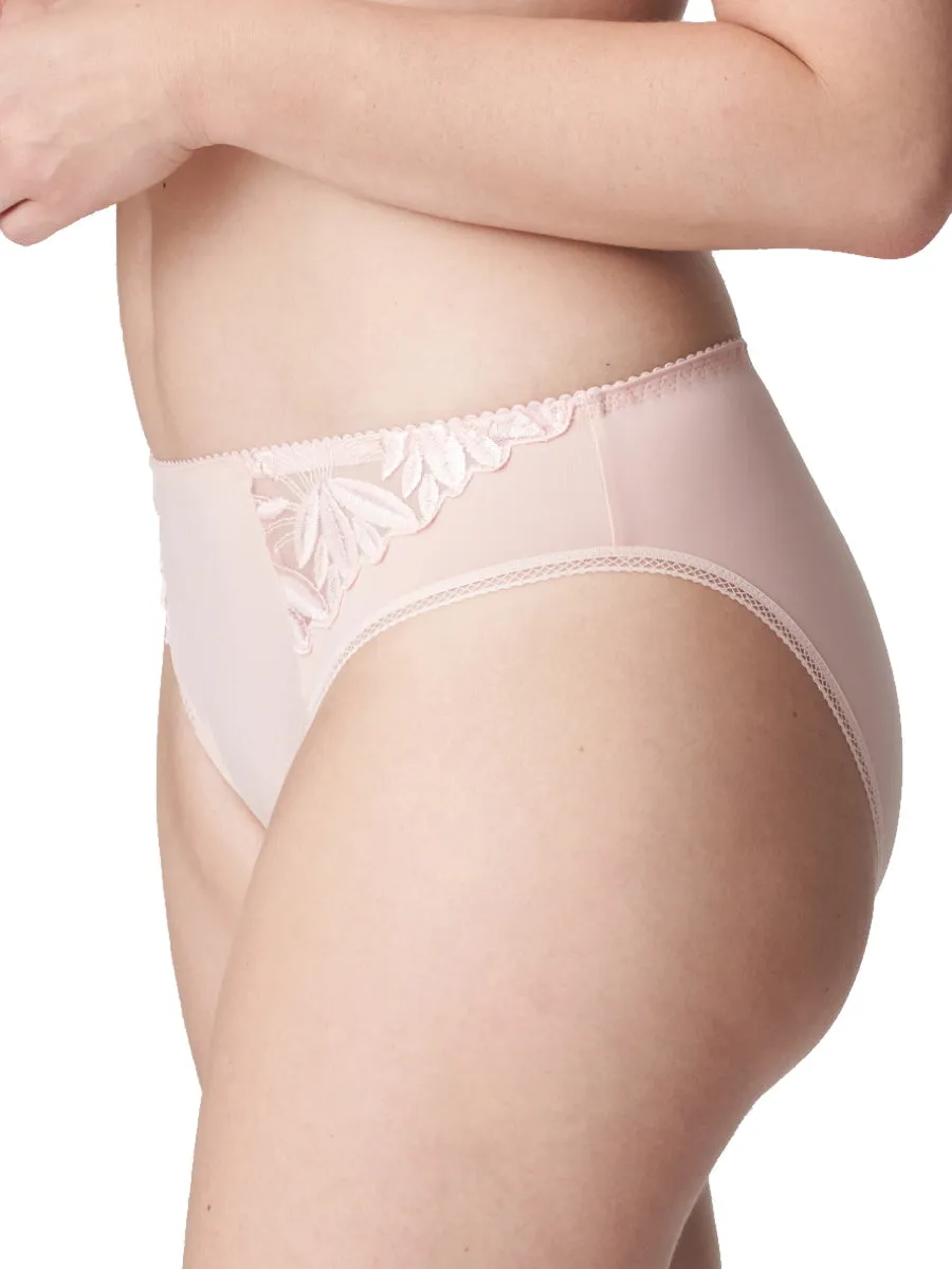Orlando Rio Brief