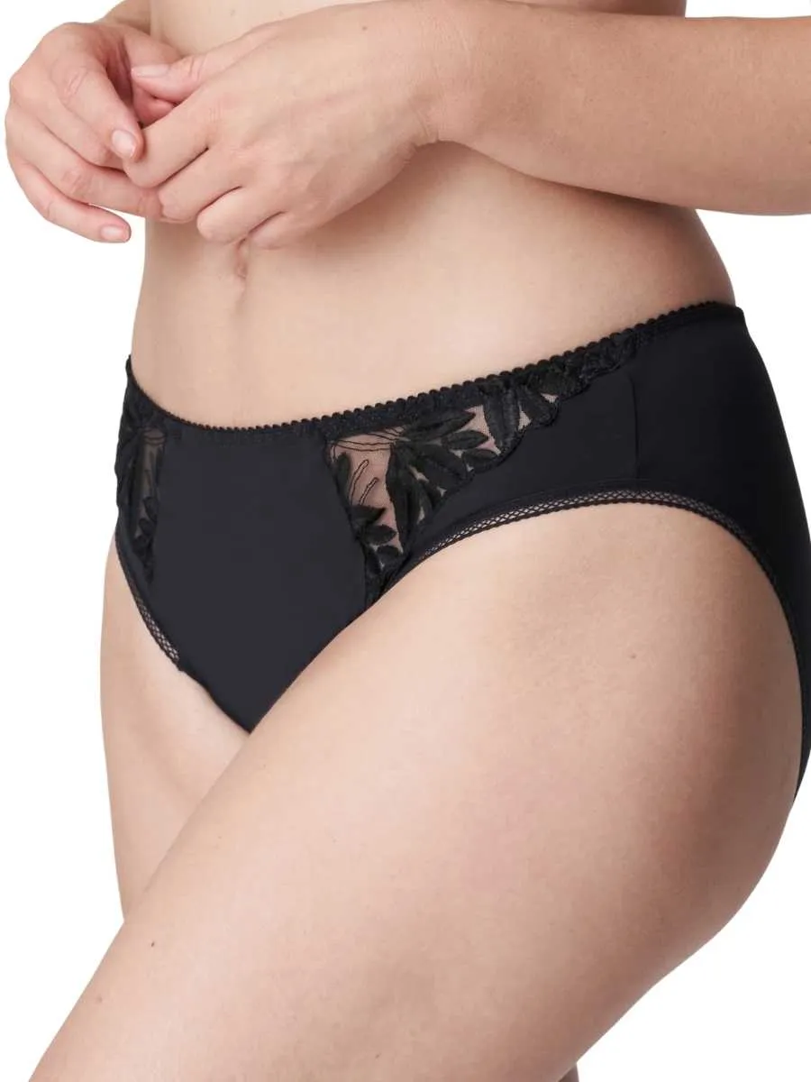 Orlando Rio Brief