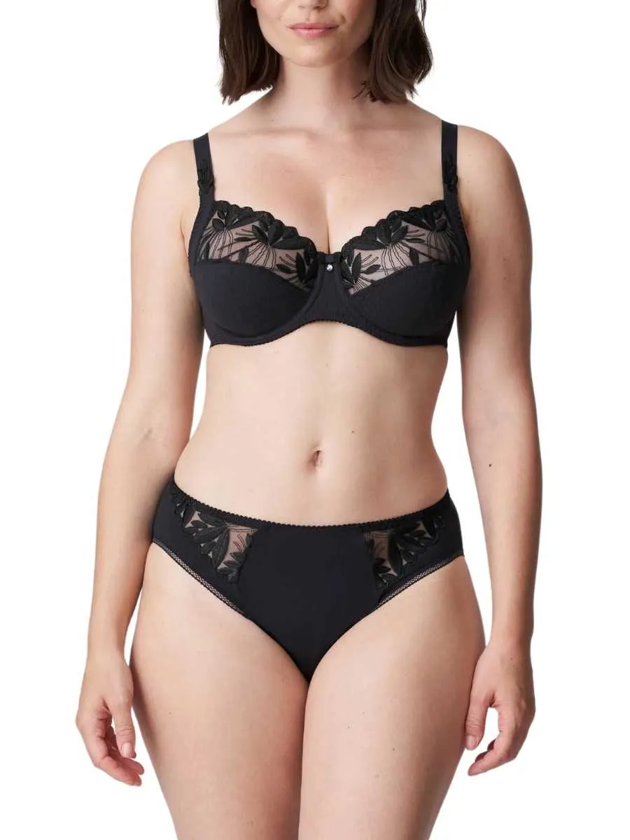 Orlando Rio Brief