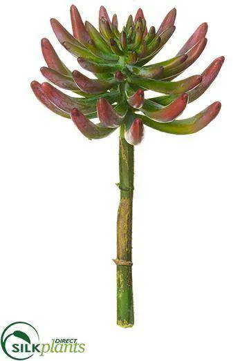 Silk Plants Direct Aeonium Pick - Plum - Pack of 12