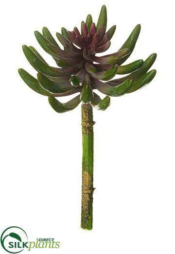 Silk Plants Direct Aeonium Pick - Plum - Pack of 12