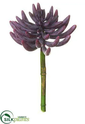 Silk Plants Direct Aeonium Pick - Plum - Pack of 12